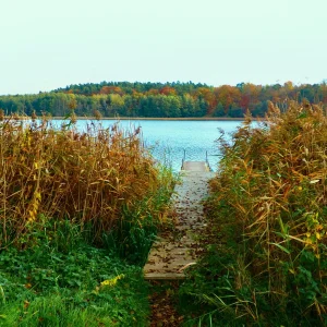 Ein Tag am See.jpg