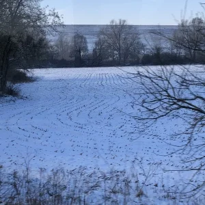 Ein Stück Heimat.JPG