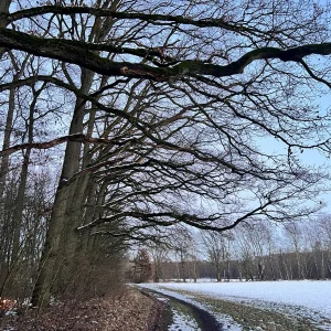 IMG_1732.jpeg