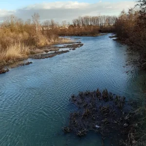 20240125_154250.jpg