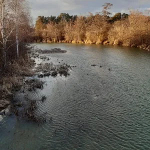 20240125_154304.jpg