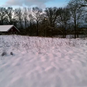 20240209_072451.jpg