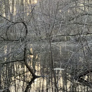 IMG_1999.jpeg