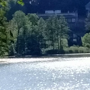 IMG20240518084843.jpg