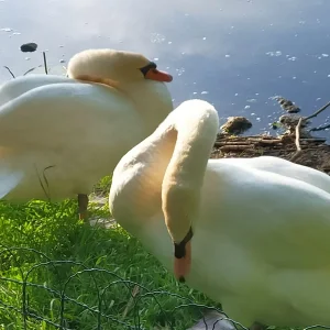 IMG20240520190736.jpg