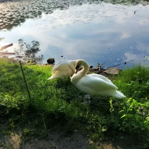 IMG20240520190724.jpg