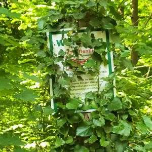 IMG20240527155319.jpg