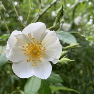 IMG_3919.jpeg