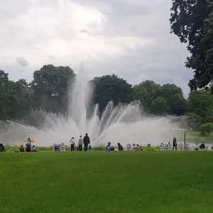 20240604_180146.jpg