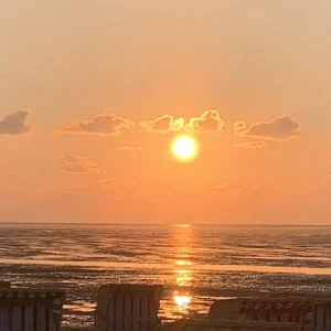 IMG_4065.jpeg