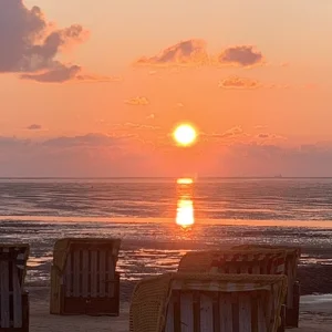 IMG_4074.jpeg