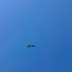 IMG_20240615_105603.jpg