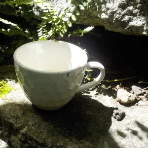 DSCN6296.JPG