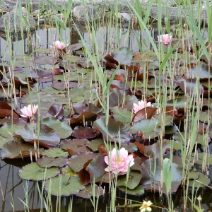 DSCN3573.JPG