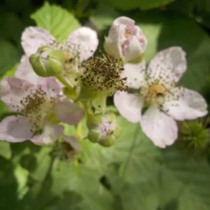 DSCN6302.JPG