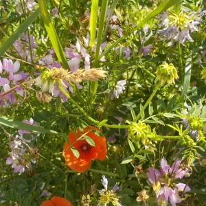 DSCN6308.JPG
