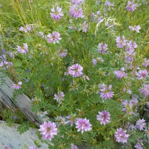 DSCN6319.JPG