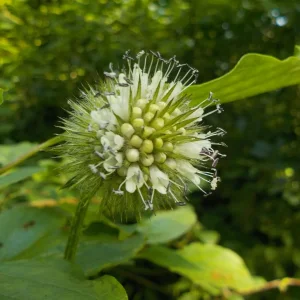 DSCN6322.JPG