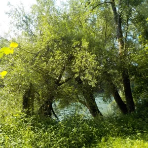 DSCN6321.JPG