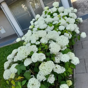 20240625_103250.jpg
