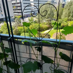 20240625_105549.jpg