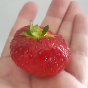 20240625_172224.jpg