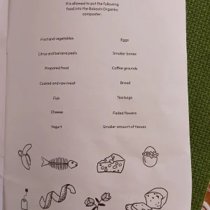 17204552916674242772339579957038.jpg