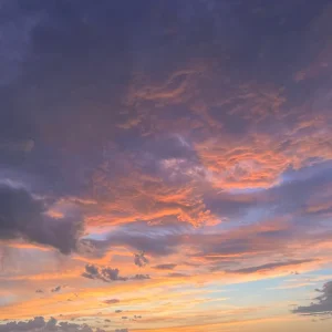 IMG_9305.jpeg