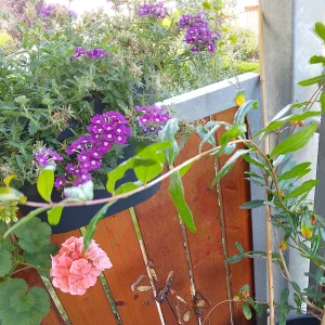 IMG_20240712_090729_HDR~2.webp