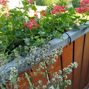 IMG_20240712_090639_HDR.webp