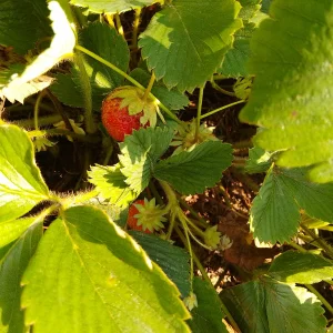IMG_20240712_093502_HDR.webp