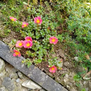 IMG_20240712_093613_HDR.webp