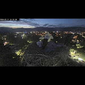 Screenshot_20240712-041124.webp