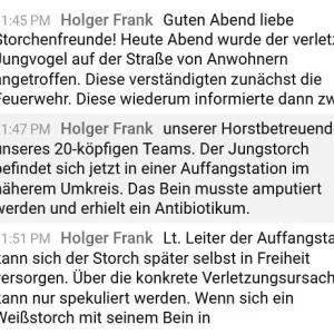 Leutershausen_verletzter-Jungstorch-gerettet1.webp