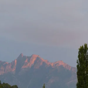 P1030588.webp