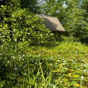 DSCN6359.webp