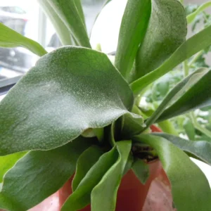 DSCN0076.webp