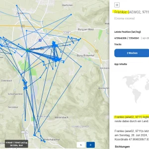 AnimalTracker_Frankie_28Juli2024.webp