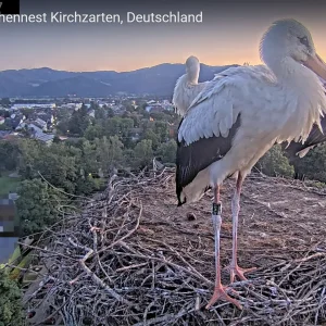 Kirchzarten_Ring_29Juli2024_HD3.webp