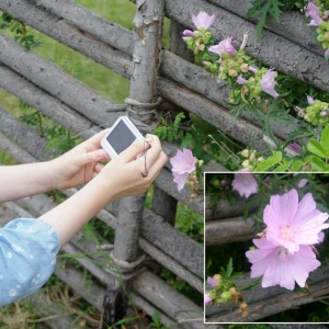 KlaraFotografiert_k.webp
