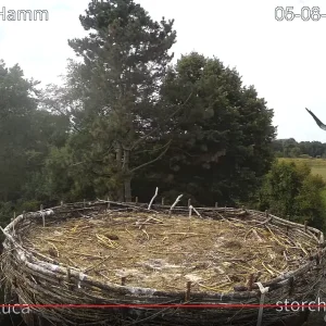 Hamm_Luca_Jungfernflug 2024-08-05 12Uhr5740.webp