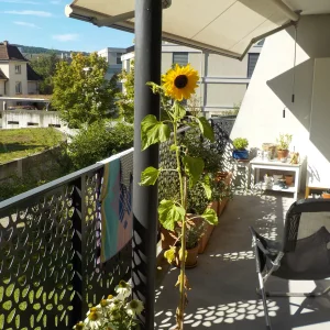 DSCN6380.webp