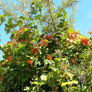 20240809_100616.webp