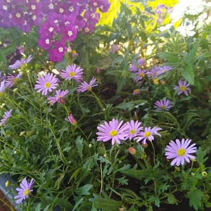 IMG_20240809_150645_HDR.webp