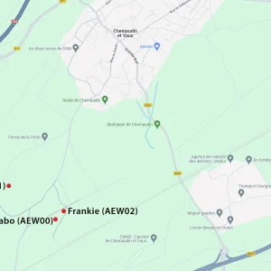 Position-Kirchzartener-Jungstörche 2024-08-09 17Uhr.webp