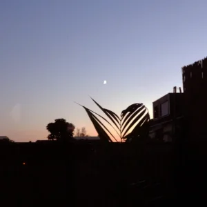 Screenshot 2024-08-09 212713.webp