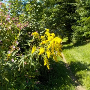 DSCN6404.webp