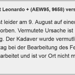 Leonardo_AEW95_verstorben.webp