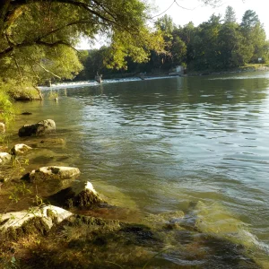 DSCN6442.webp
