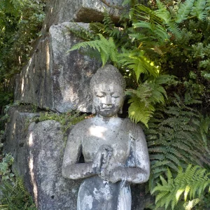 DSCN6383.webp
